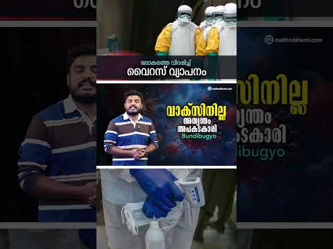 വാക്‌സിനില്ല, പ്രത്യേക ചികിത്സയില്ല; ഭീതിയില്‍ ലോകം