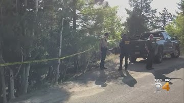 2 Mountain Lions Killed After Boy Attacked