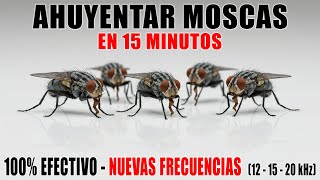 SONIDO para AHUYENTAR MOSCAS 🚫🪰 REPELENTE ULTRASÓNICO 100% EFECTIVO