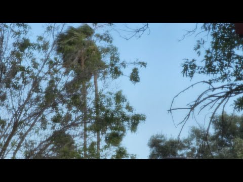 Gusty Windy West To WSW Winds & Partly Cloudy 6:15pm May 8, 2022 (Both Sides)