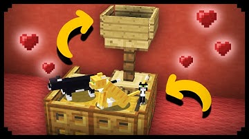 ✔ Minecraft: Working Cat House