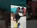 Only in Florida — when an eagle ray literally joins the charter 😳