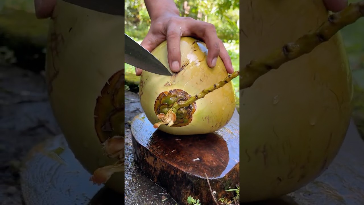 Amazing Coconut Cutting Skills 