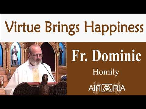 Constant Learning and Growing in the Christian Adventure - Jul 23 - Homily - Fr Dominic