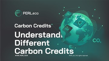 PERL Carbon Explainer 3: Understanding Different Carbon Credits