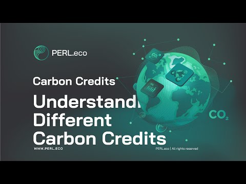 PERL Carbon Explainer 3: Understanding Different Carbon Credits