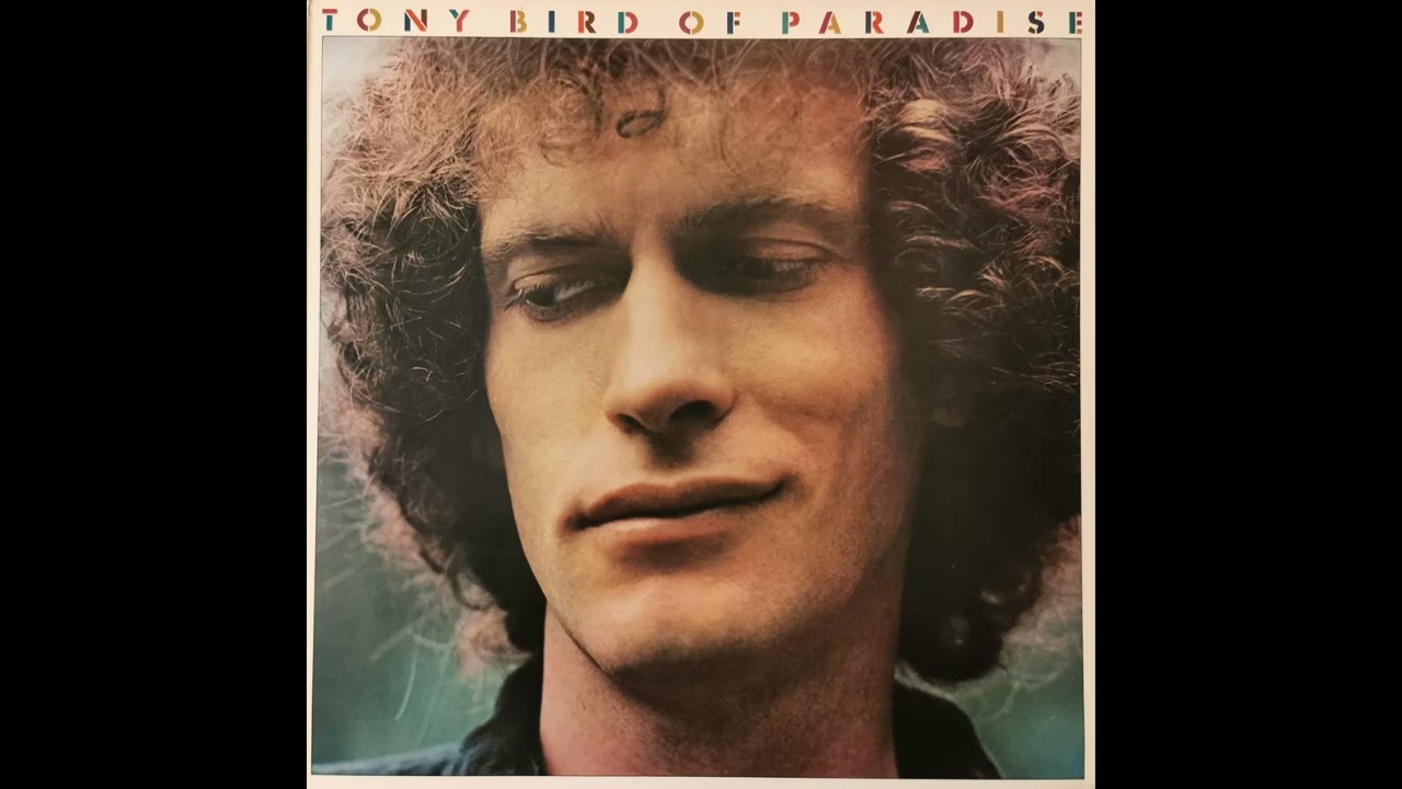 Tony Bird  -  Nothing But Time