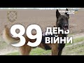 🔥89 ДЕНЬ ВІЙНИ. БИТВА ЗА ІЗЮМ. ОБОРОНА ДОНБАСУ, ХЕРСОН. Ракетні обстріли міст - Україна 24