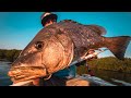 Salimos a Pescar de PARGOS en estero y nos llevamos una gran sorpresa. // Pesca en Manglar