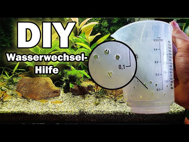 Wasserwechsel - Hilfe DIY (#97) 