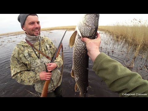 Поехали за уткой.  Герка поймал большую щуку