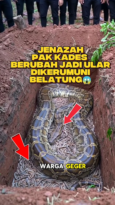 Jenazah pak kades berubah wujud jadi ular❗😱 #trendingshorts #viralvideo #shortsviral #fypviral