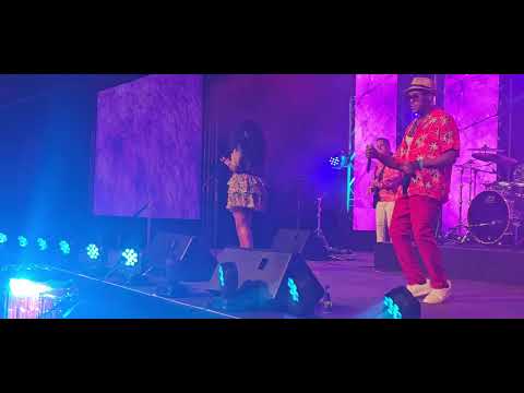PARTY WITH SOFAYA - CORPORATE VIBES