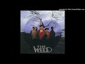 04 「YO YO YO」 / THE WEED さよなら僕のアメリカ