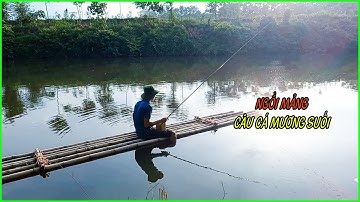 Ngồi Mảng Câu Cá Mương | Câu Cá Mương Suối | Câu Cá Giải Trí Và Ẩm Thực