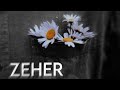 ZEHER - Omis  ft. Om | Omis x Om | (Official Audio) | Toxic Love Rap 