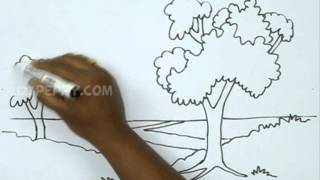 How to Draw a Natural Landscape