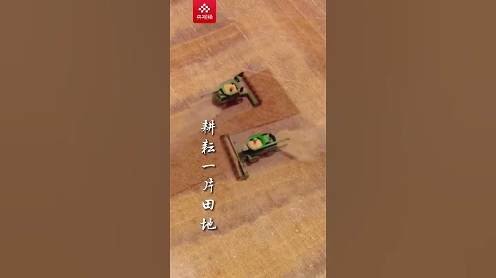 芒种时节至 高考收获时！祝高考学子金榜题名 前程似锦 | CCTV科教 - 天天要闻