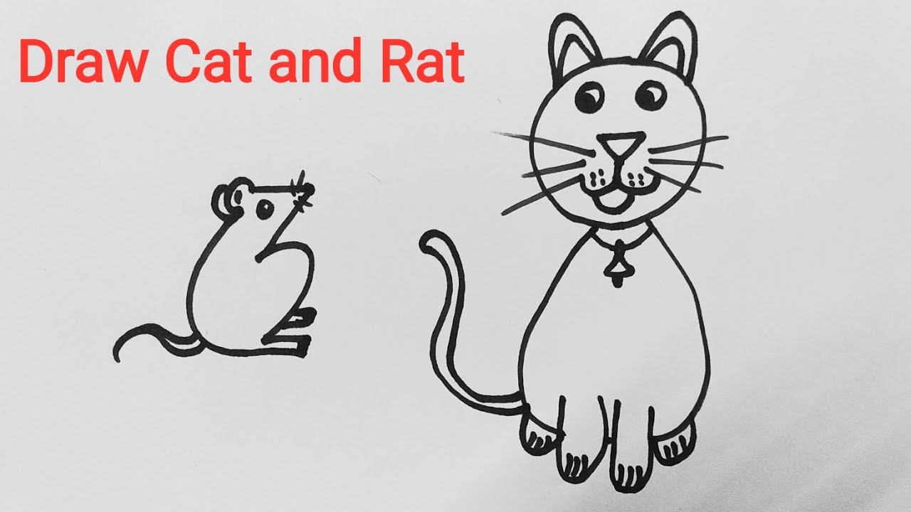 Draw A Cat And Rat Draw Cat And Mouse Draw Rat With Numbers Youtube