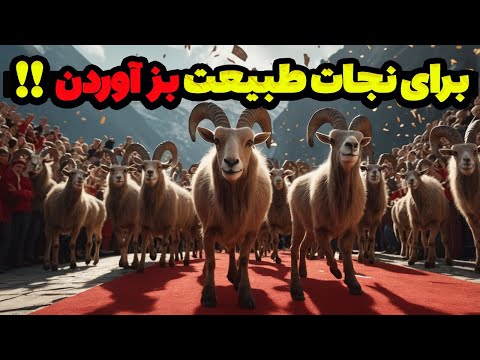 وقتی یه تصمیم ساده طبیعتو نابود کرد بازگشت بزهای کوهی برای نجات یک اکوسیستم فراموش شده