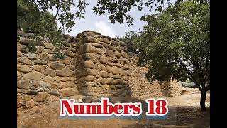 Numbers 18