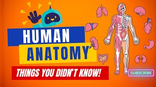 Unlocking the Wonders of the Human Body: Fascinating Anatomy Trivia Revealed! 🧠👁️🦴 #triviachallenge by Mind Over Trivia 22 views 2 months ago 13 minutes, 42 seconds