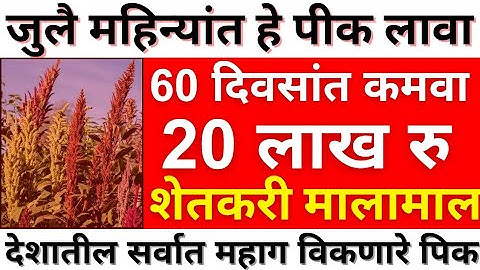 20 ते 30 लाख💸🤑 एका महिन्यात कमवून देणारे पीक लावा| 30 दिवसांत 20 लाख कमवतोय शेतकरी|profitablefarming