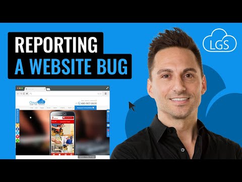 Reporting a Website Bug