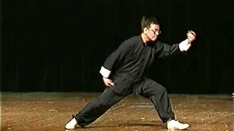 Small frame Chen Style  tai chi form