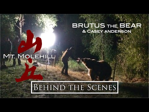 Mt Molehill Behind The Scenes W Brutus The Bear And Casey Anderson Youtube