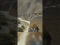 Dead Sea Scrolls: Unbelievable News!