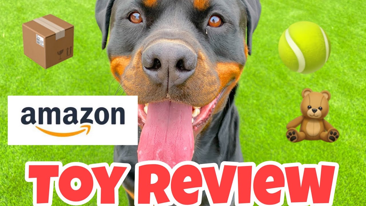 Rottweilers Reviews Toys You