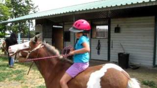 MVI_0006.avi