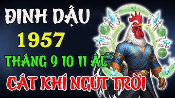 Tuổi Đinh Dậu 1957 Tháng 9 – 10 – 11 Âm 2025 | Cát Khí Lan Tỏa, Tài Lộc Vượng Phát