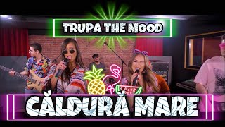 Trupa The Mood - Caldura mare 🔥 (Trinidad Cardona - Dinero | Romanian Cover)