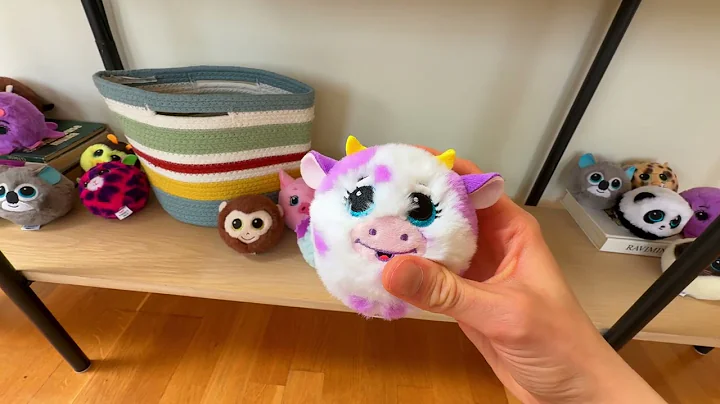 REVIEW - Meet Daisy, the Beanie Bouncer #ty #beaniebouncers