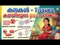 കലകൾ - Tissues .. PSC പഠനം എളുപ്പമാക്കാൻ ഒരു പഠന സഹായി...#psc #pscdiscussion #motivation 