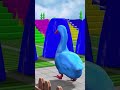 Long Slide Game with Cow Elephant Gorilla Hippopotamus Tiger 3d Animal Game Funny 3d Animals