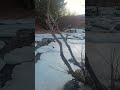 Himalayan Adventure