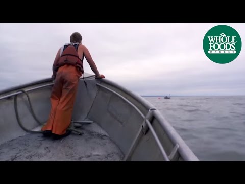 Video: Sockeye Fish: Korak Za Korakom Foto Recepti Za Enostavno Kuhanje