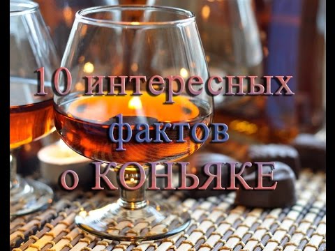 10 интересных фактов о коньяке