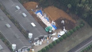 宮崎県で１２万羽の殺処分続く 鳥インフル検出の養鶏場