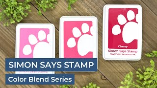 Simon Says Stamp Pawsitively Saturated Ink Color Blend Series by Jessica Vasher Designs 243 views 2 months ago 8 minutes, 30 seconds
