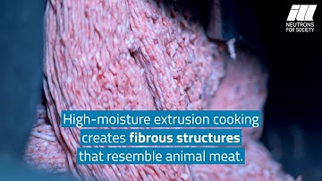 Plant-Based Meat Analogues: The Challenge of the Imitation Game