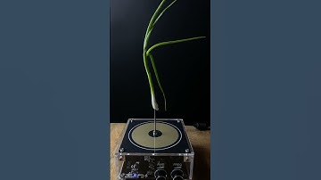 Music Tesla Coil Testing #experiment #testing #lightning #shorts