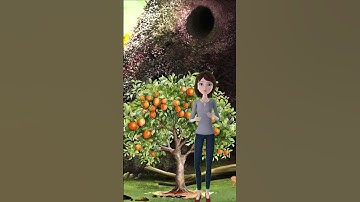 How to Save Your Bearss Seedless Lime Trees #TreeDiseases #TreeExpert #TreeDoctor