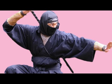 Ninja Studies Degree Now Available | Simon's Peculiar Portions