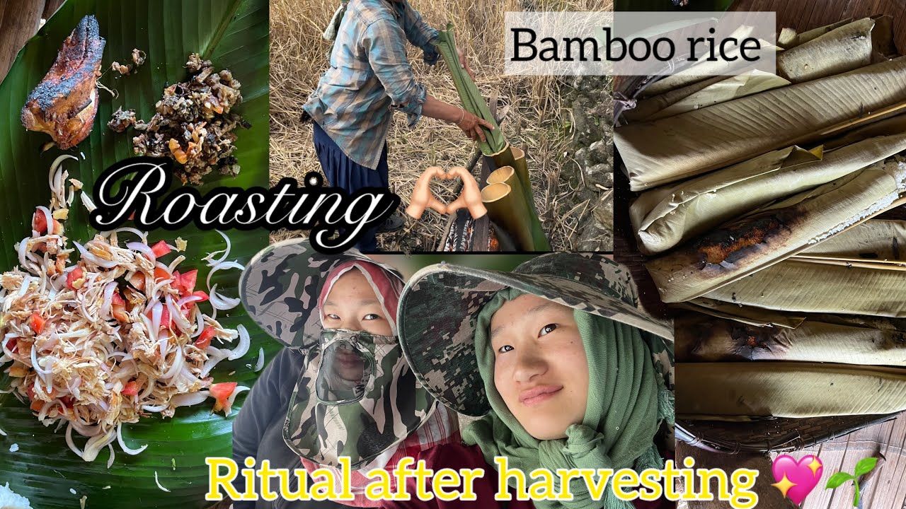 Ritual after harvesting🌾🍃/Bamboo rice🫶🏻//Roasting