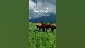 ما تيسر من سورة العاديات|Surah Al-Adiyat|القارئ علي اليوسف|