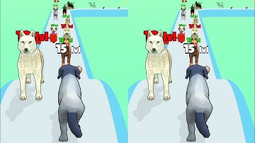 Dog Evolution Run Satisfying gameplay Android iso